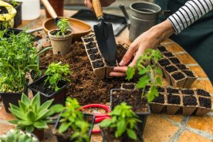 Gardening